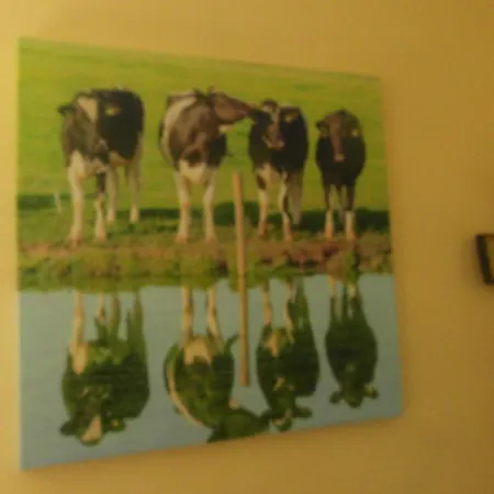 Country * بورتارلينغتون