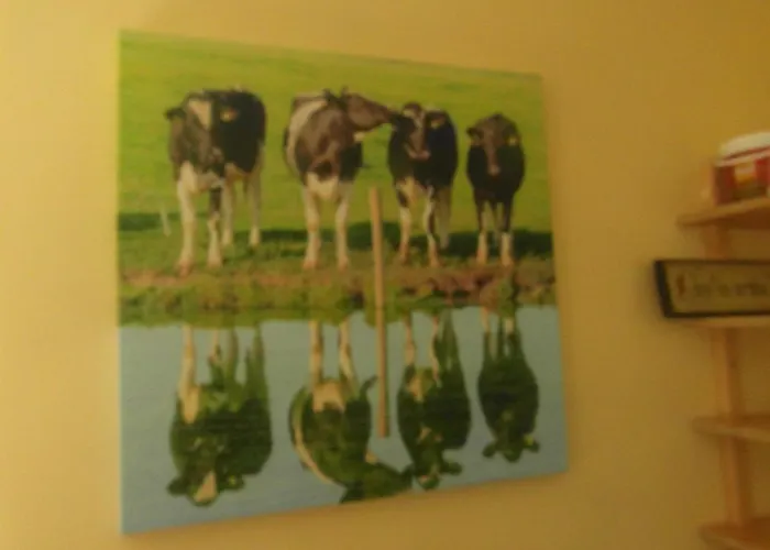 Country * Portarlington